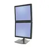 Image de Ergotron 33-091-200/2 Screen Vertical Desk Stand