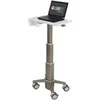 Image de Support ordinateur C50-1100-0 Gris 15.6 pouces