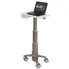 Image de Ergotron CAREFIT SLIM LAPTOP CART