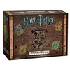 Image de Deck Building: Harry Potter Hogwarts Battle