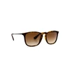 Image de Ray-Ban Chris RB4187 856/13 54