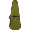 Image de G-Icon Guitare Acoustique Type Dreadnought Vert Pour guitare folk