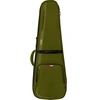 Image de G-Icon Guitare Electrique Vert Pour guitare électrique