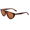 Image de Lunettes de soleil - - 6108/S - Cat-eye - Brun - Polarisées