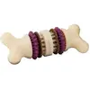Image de Petsafe Jouet Busy Buddy Bristle