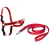 Image de Nayeco Harnais Pour Chien Easy Walk