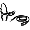 Image de Nayeco Harnais Pour Chien Easy Walk XL