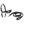 Image de EASY WALK Harnais XL - Noir - Pour chien