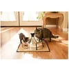 Image de Fontaine 360? - INOX - 3,8L