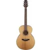 Image de Guitares acoustiques GN20 NATURAL Folk