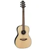 Image de Guitares Acoustiques Gy93 Natural New Yorker Folk