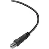 Image de Premium Printer Cable - Câble USB - USB type B (M) pour USB (M) - USB 2.0 - 3 m - moulé