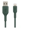 Image de BOOST CHARGE - Câble Lightning - Lightning mâle pour USB mâle - 1 m - vert de minuit