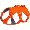 Image de Ruffwear Harnais Pour Chien Web Master 