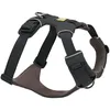 Image de Ruffwear - Webmaster - Harnais pour chien Basalt Gray - XXS