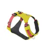 Image de Ruffwear - Hi & Light Harness - Harnais pour chien Lichen Green - M
