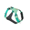 Image de Ruffwear - Hi & Light Harness - Harnais pour chien Sage Green - XS