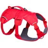 Image de Ruffwear Harnais Pour Chien Web Master 