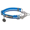 Image de Ruffwear - Chain Reaction Collar - Collier pour chien Blue Pool - 28 - 36 cm