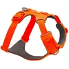 Image de Ruffwear Harnais Pour Chien Front Range® XS