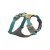 Image de Ruffwear - Front Range Harness - Harnais pour chien Spring Mountains - M (69 - 81 cm)