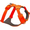 Image de Ruffwear - Front Range - Harnais pour chien Blaze Orange - L / XL