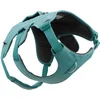 Image de Ruffwear Harnais Pour Chien Web Master 