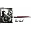 Image de SDWN - Dave Weckl Signature (olives Nylon)