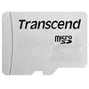 Image de 300S - Carte mémoire flash - 4 Go - Class 10 - micro SDHC