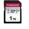 Image de 300S - Carte mémoire flash - 1 To - Video Class V30 / UHS-I U3 / Class10 - SDXC UHS-I
