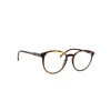 Image de Lentiamo Sandro Havana Brown