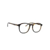 Image de Lentiamo Tomas Havana Brown