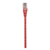 Image de Intellinet Network Patch Cable, Cat6, 1m, Red, CCA, U/UTP, PVC, RJ45, Gold Plated Contacts, Snagless, Booted, Lifetime Warranty, Polybag - Cordon de
