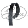 Image de Multi-Couronnes K060295rpm Gates Gates K060295rpm Infiniti;Isuzu;Peugeot;Seat;Skoda;Volkswagen