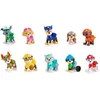 Image de Pat' Patrouille - Multipack Figurines 10e Anniversaire