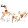 Image de Décoration de Noël 255 Lumières avec 12 Piquets et 24 Serre-câbles