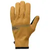Image de Black Diamond Gants Everyday Softshell XL