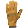 Image de Black Diamond Gants Everyday Softshell