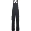 Image de Black Diamond - Factor Bibs - Salopette ski homme Black - M