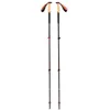 Image de Black Diamond - Trail Cork Trekking - Bâtons randonnée Fig - 100 - 140 cm