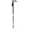 Image de Black Diamond - Expedition Carbon Pro Whippet - Bâtons ski Khaki - 140 cm