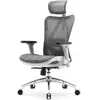 Image de M57 Fauteuil de Bureau Ergonomique pour Ordinateur avec appuie-tête réglable, Dossier et accoudoirs en Maille; Gis clair