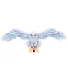 Image de Harry Potter Décoration Murale Hedwige One Size