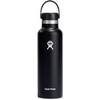 Image de Hydro Flask Flasche Standard Flex Straw Cap 620 ml, noir