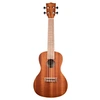 Image de Satin Mahogany Concert