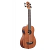 Image de U-Bass Wanderer électro-acoustique (+ housse) - cordes acier