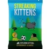 Image de Jeux de société : Streaking Kittens