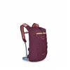 Image de Osprey - Daylite Cinch Pack - Sac à dos Moody Burgundy - Taille unique