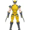 Image de Marvel Hero - Champion Class 05 Wolverine