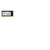 Image de Mémoire RAM Memory PSD532G48002S DDR5 32 GB CL40